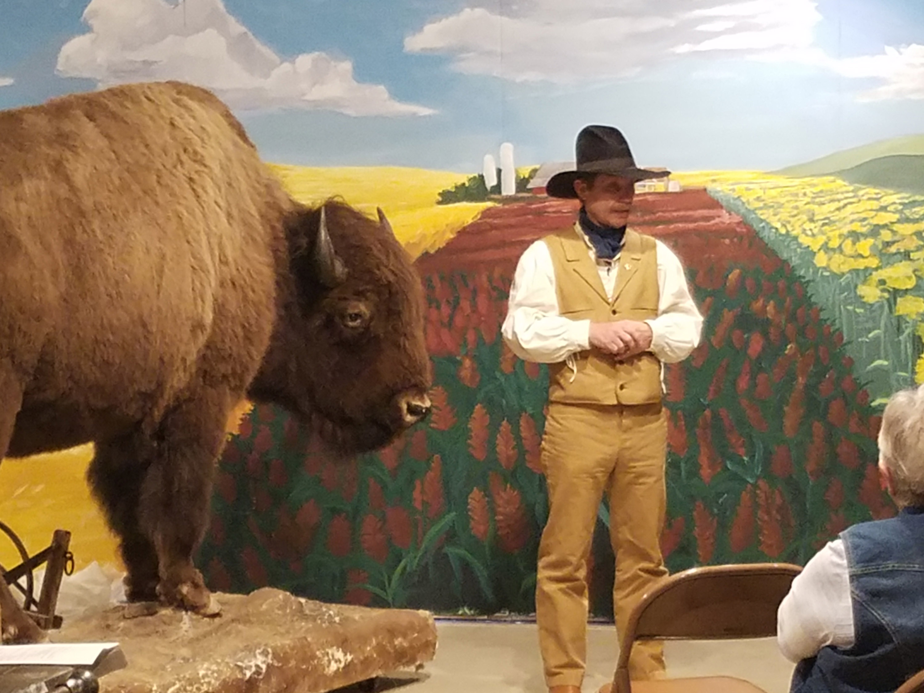High Plains Museum Bison Exhibit